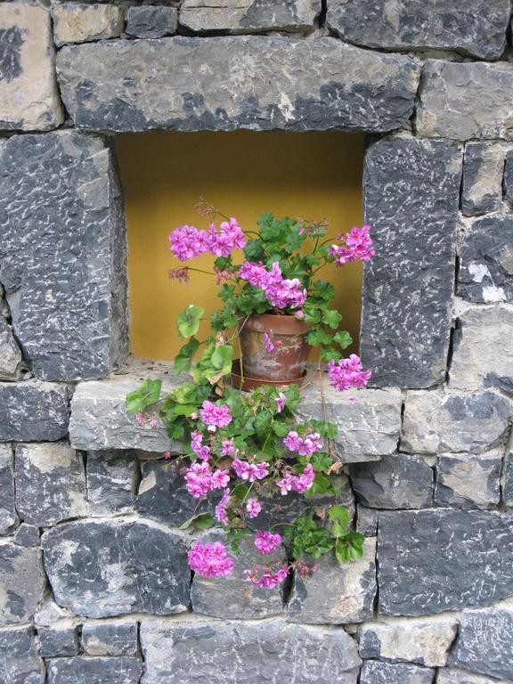 La Posada De Cucayo Dobres المظهر الخارجي الصورة
