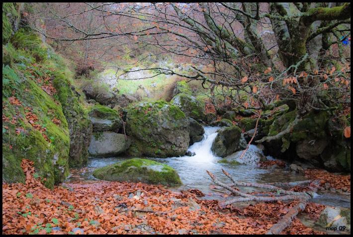 La Posada De Cucayo Dobres المظهر الخارجي الصورة