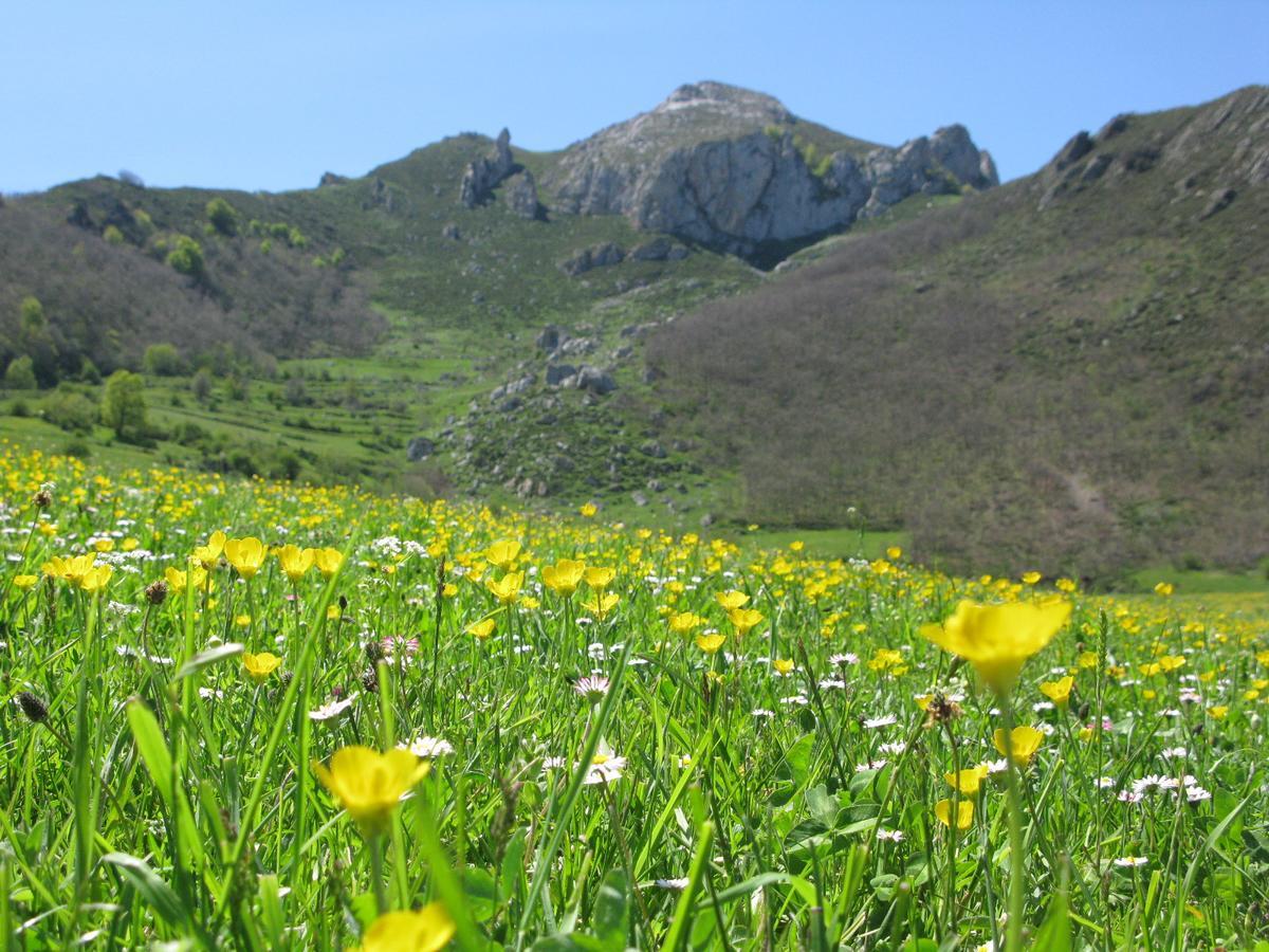 La Posada De Cucayo Dobres المظهر الخارجي الصورة